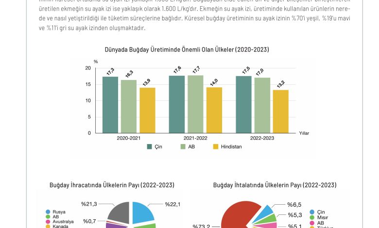 11. Sınıf Meb Yayınları İklim Çevre Ve Yenilikçi Çözümler Ders Kitabı Sayfa 107 Cevapları