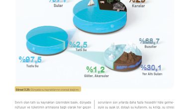 11. Sınıf Meb Yayınları İklim Çevre Ve Yenilikçi Çözümler Ders Kitabı Sayfa 104 Cevapları