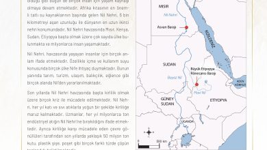 11. Sınıf Meb Yayınları İklim Çevre Ve Yenilikçi Çözümler Ders Kitabı Sayfa 103 Cevapları