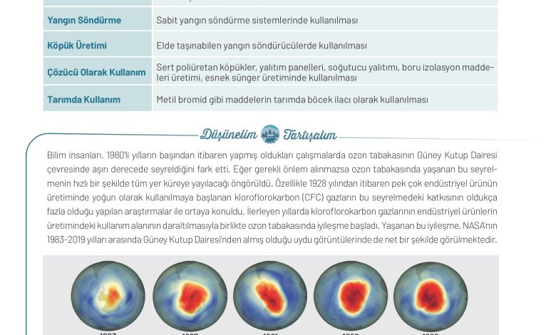 11. Sınıf Meb Yayınları İklim Çevre Ve Yenilikçi Çözümler Ders Kitabı Sayfa 100 Cevapları