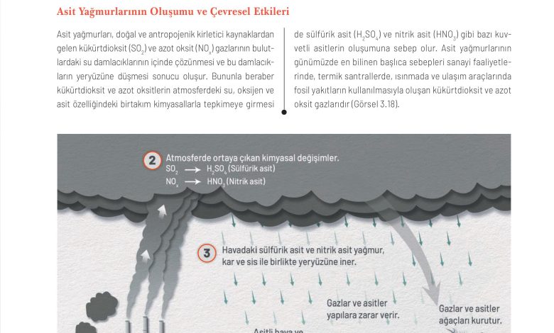 11. Sınıf Meb Yayınları İklim Çevre Ve Yenilikçi Çözümler Ders Kitabı Sayfa 97 Cevapları