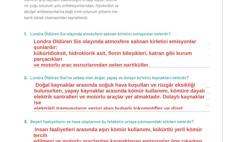 11. Sınıf Meb Yayınları İklim Çevre Ve Yenilikçi Çözümler Ders Kitabı Sayfa 95 Cevapları