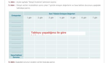 11. Sınıf Meb Yayınları İklim Çevre Ve Yenilikçi Çözümler Ders Kitabı Sayfa 90 Cevapları