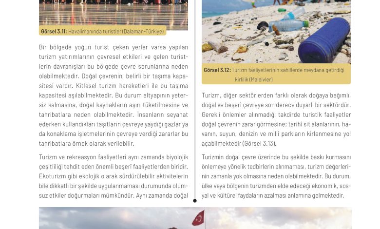 11. Sınıf Meb Yayınları İklim Çevre Ve Yenilikçi Çözümler Ders Kitabı Sayfa 85 Cevapları