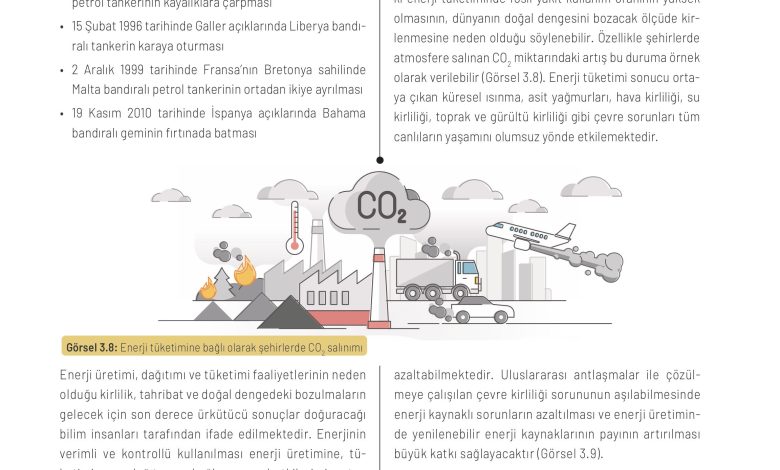 11. Sınıf Meb Yayınları İklim Çevre Ve Yenilikçi Çözümler Ders Kitabı Sayfa 80 Cevapları