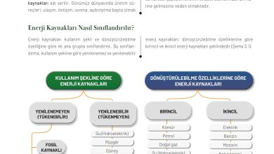 11. Sınıf Meb Yayınları İklim Çevre Ve Yenilikçi Çözümler Ders Kitabı Sayfa 77 Cevapları