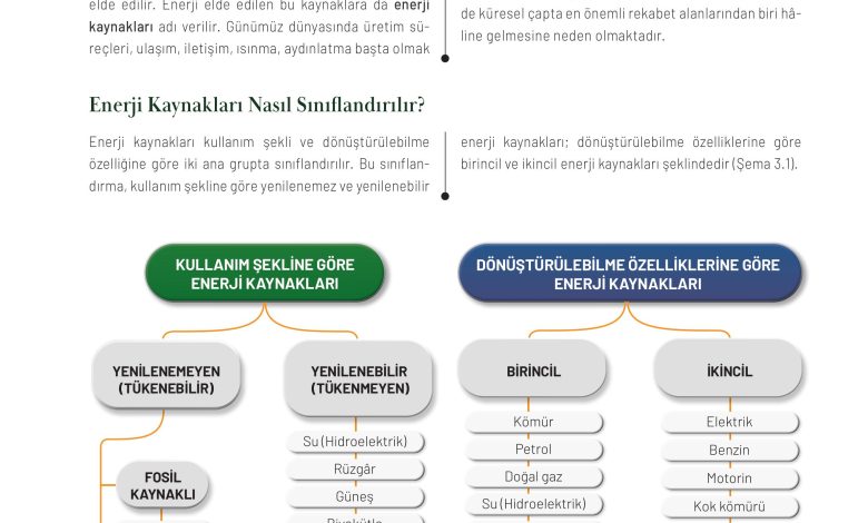 11. Sınıf Meb Yayınları İklim Çevre Ve Yenilikçi Çözümler Ders Kitabı Sayfa 77 Cevapları