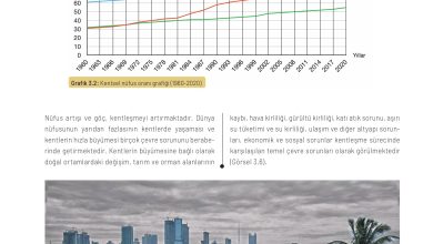 11. Sınıf Meb Yayınları İklim Çevre Ve Yenilikçi Çözümler Ders Kitabı Sayfa 75 Cevapları