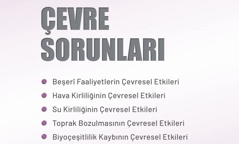 11. Sınıf Meb Yayınları İklim Çevre Ve Yenilikçi Çözümler Ders Kitabı Sayfa 66 Cevapları