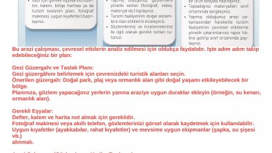 10. Sınıf Meb Yayınları İklim Çevre Ve Yenilikçi Çözümler Ders Kitabı Sayfa 87 Cevapları