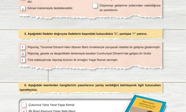 11. Sınıf Gizem Yayınları Türk Dili Ve Edebiyatı Ders Kitabı Sayfa 301 Cevapları