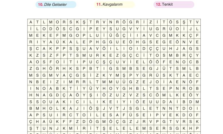 11. Sınıf Gizem Yayınları Türk Dili Ve Edebiyatı Ders Kitabı Sayfa 284 Cevapları