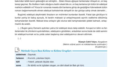 11. Sınıf Gizem Yayınları Türk Dili Ve Edebiyatı Ders Kitabı Sayfa 274 Cevapları