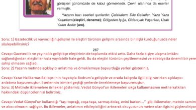 11. Sınıf Gizem Yayınları Türk Dili Ve Edebiyatı Ders Kitabı Sayfa 267 Cevapları