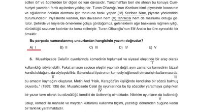 11. Sınıf Gizem Yayınları Türk Dili Ve Edebiyatı Ders Kitabı Sayfa 260 Cevapları