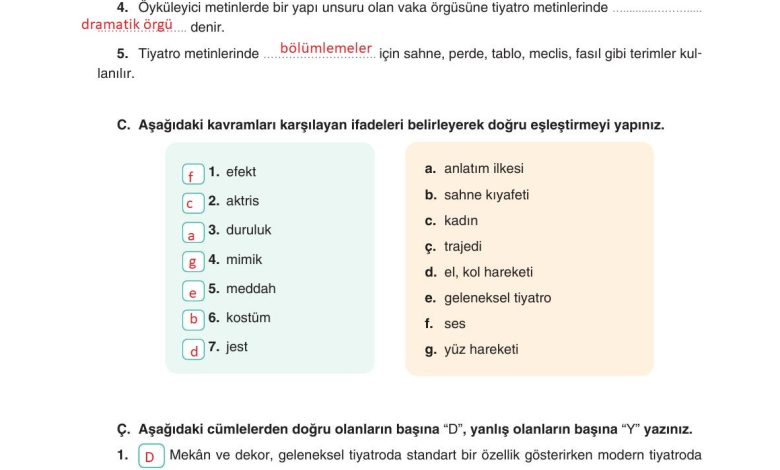 11. Sınıf Gizem Yayınları Türk Dili Ve Edebiyatı Ders Kitabı Sayfa 258 Cevapları