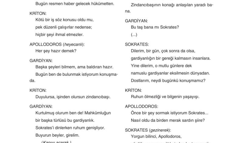 11. Sınıf Gizem Yayınları Türk Dili Ve Edebiyatı Ders Kitabı Sayfa 242 Cevapları