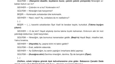 11. Sınıf Gizem Yayınları Türk Dili Ve Edebiyatı Ders Kitabı Sayfa 230 Cevapları