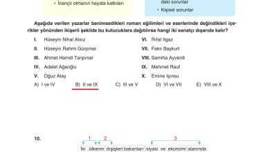 11. Sınıf Gizem Yayınları Türk Dili Ve Edebiyatı Ders Kitabı Sayfa 225 Cevapları