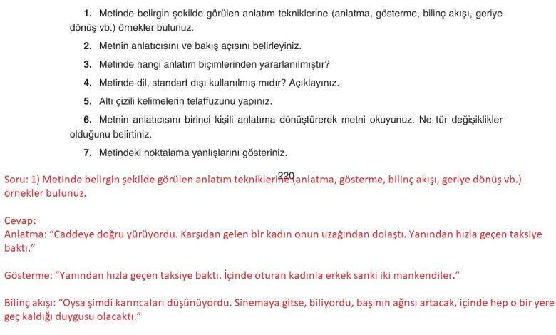 11. Sınıf Gizem Yayınları Türk Dili Ve Edebiyatı Ders Kitabı Sayfa 220 Cevapları