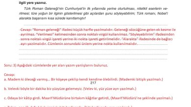 11. Sınıf Gizem Yayınları Türk Dili Ve Edebiyatı Ders Kitabı Sayfa 217 Cevapları