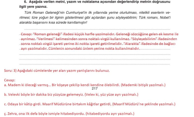 11. Sınıf Gizem Yayınları Türk Dili Ve Edebiyatı Ders Kitabı Sayfa 217 Cevapları