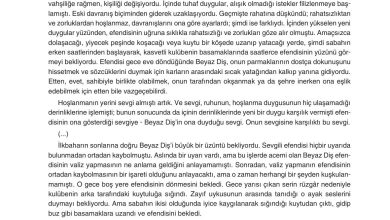 11. Sınıf Gizem Yayınları Türk Dili Ve Edebiyatı Ders Kitabı Sayfa 212 Cevapları