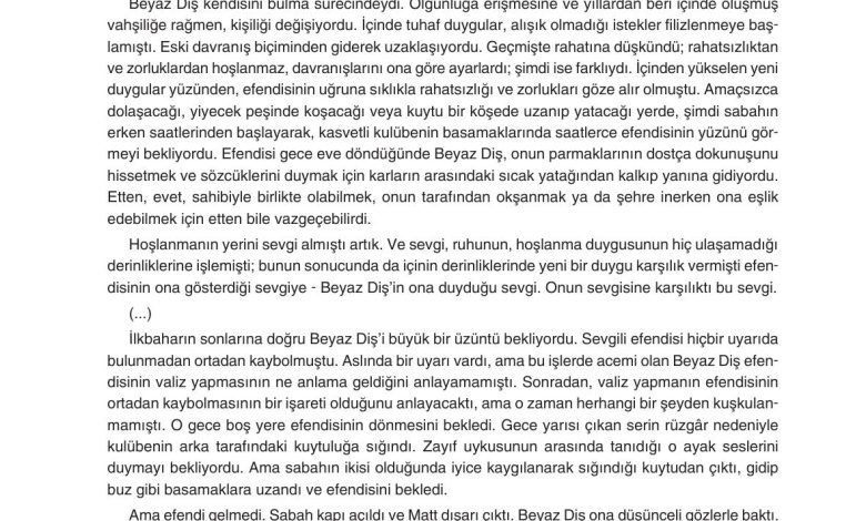 11. Sınıf Gizem Yayınları Türk Dili Ve Edebiyatı Ders Kitabı Sayfa 212 Cevapları