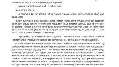 11. Sınıf Gizem Yayınları Türk Dili Ve Edebiyatı Ders Kitabı Sayfa 205 Cevapları