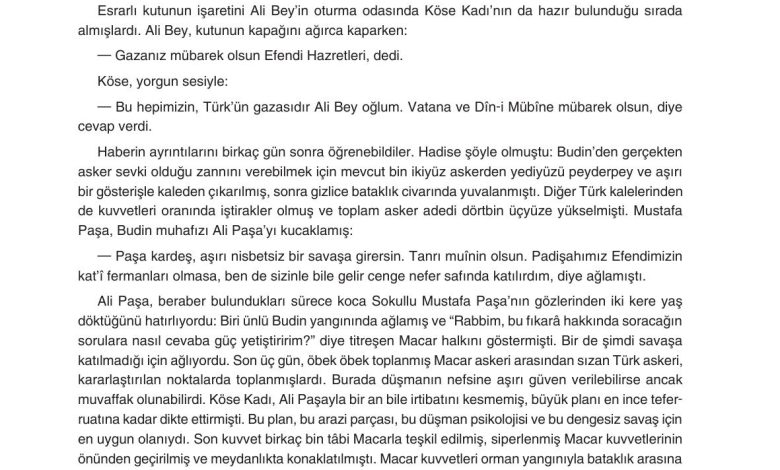 11. Sınıf Gizem Yayınları Türk Dili Ve Edebiyatı Ders Kitabı Sayfa 205 Cevapları