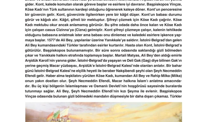 11. Sınıf Gizem Yayınları Türk Dili Ve Edebiyatı Ders Kitabı Sayfa 204 Cevapları