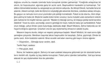 11. Sınıf Gizem Yayınları Türk Dili Ve Edebiyatı Ders Kitabı Sayfa 186 Cevapları