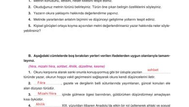 11. Sınıf Gizem Yayınları Türk Dili Ve Edebiyatı Ders Kitabı Sayfa 178 Cevapları