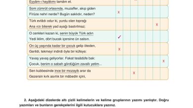 11. Sınıf Gizem Yayınları Türk Dili Ve Edebiyatı Ders Kitabı Sayfa 111 Cevapları