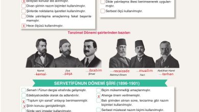 11. Sınıf Gizem Yayınları Türk Dili Ve Edebiyatı Ders Kitabı Sayfa 109 Cevapları