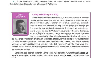 11. Sınıf Gizem Yayınları Türk Dili Ve Edebiyatı Ders Kitabı Sayfa 87 Cevapları