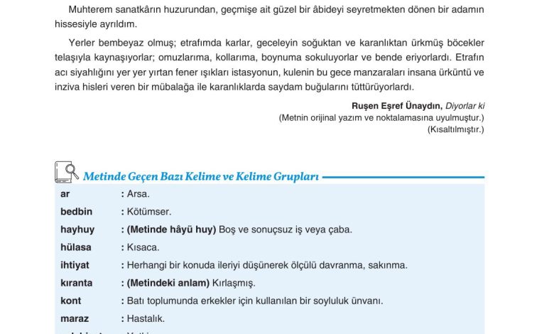 11. Sınıf Gizem Yayınları Türk Dili Ve Edebiyatı Ders Kitabı Sayfa 289 Cevapları