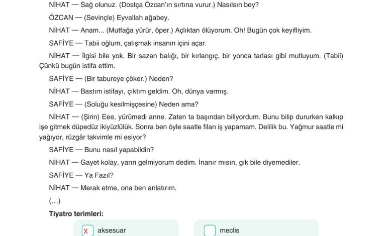 11. Sınıf Gizem Yayınları Türk Dili Ve Edebiyatı Ders Kitabı Sayfa 257 Cevapları