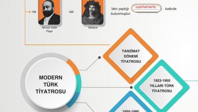 11. Sınıf Gizem Yayınları Türk Dili Ve Edebiyatı Ders Kitabı Sayfa 254 Cevapları