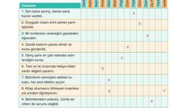 11. Sınıf Gizem Yayınları Türk Dili Ve Edebiyatı Ders Kitabı Sayfa 253 Cevapları