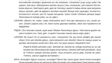 11. Sınıf Gizem Yayınları Türk Dili Ve Edebiyatı Ders Kitabı Sayfa 250 Cevapları