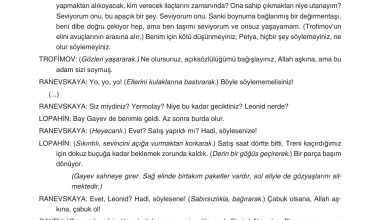 11. Sınıf Gizem Yayınları Türk Dili Ve Edebiyatı Ders Kitabı Sayfa 249 Cevapları