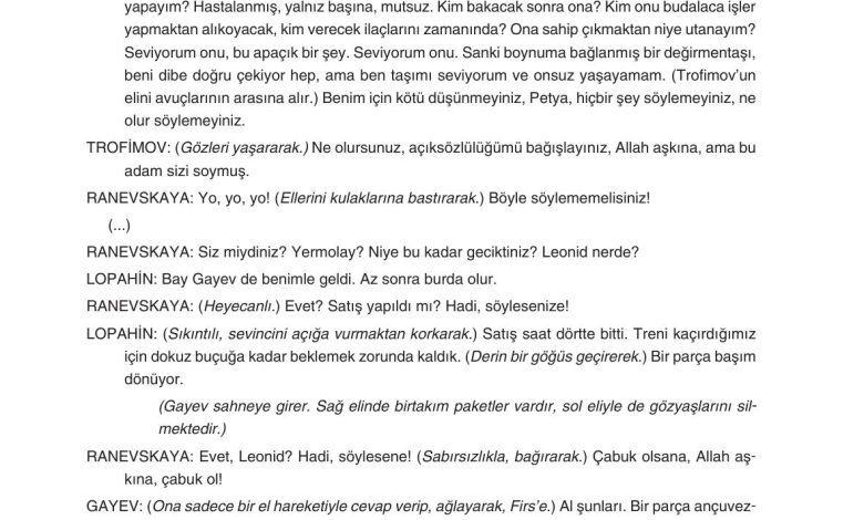 11. Sınıf Gizem Yayınları Türk Dili Ve Edebiyatı Ders Kitabı Sayfa 249 Cevapları