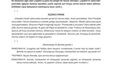 11. Sınıf Gizem Yayınları Türk Dili Ve Edebiyatı Ders Kitabı Sayfa 247 Cevapları