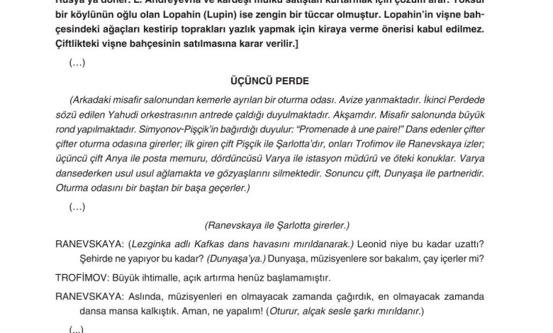 11. Sınıf Gizem Yayınları Türk Dili Ve Edebiyatı Ders Kitabı Sayfa 247 Cevapları