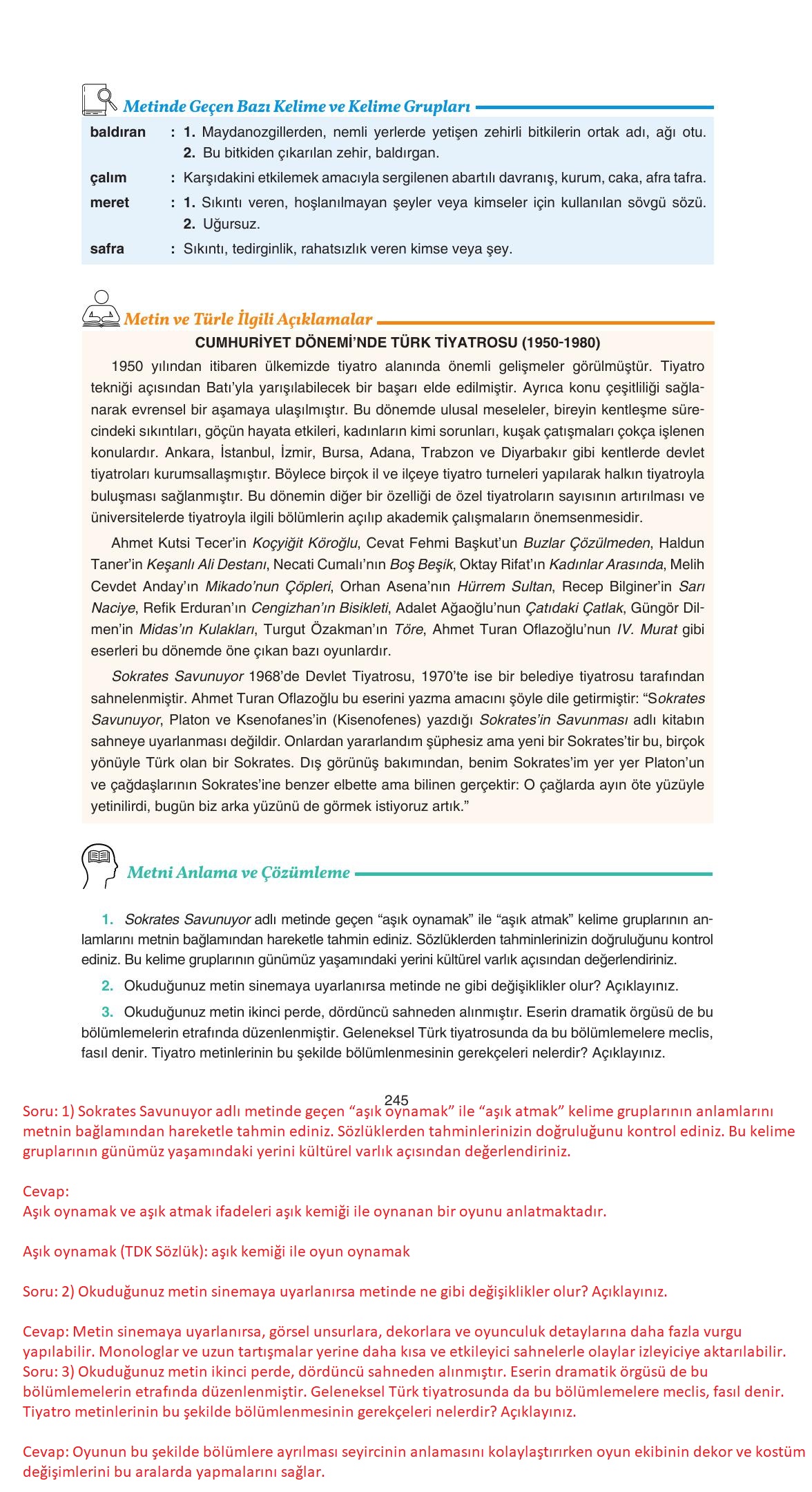 11. Sınıf Gizem Yayınları Türk Dili Ve Edebiyatı Ders Kitabı Sayfa 245 Cevapları