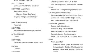 11. Sınıf Gizem Yayınları Türk Dili Ve Edebiyatı Ders Kitabı Sayfa 244 Cevapları