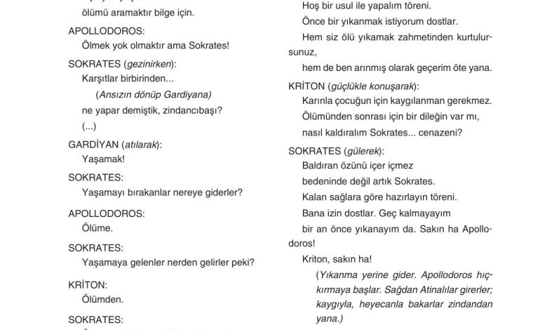 11. Sınıf Gizem Yayınları Türk Dili Ve Edebiyatı Ders Kitabı Sayfa 244 Cevapları