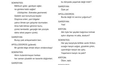 11. Sınıf Gizem Yayınları Türk Dili Ve Edebiyatı Ders Kitabı Sayfa 243 Cevapları