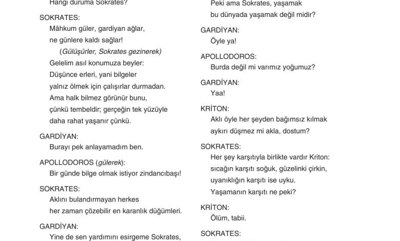 11. Sınıf Gizem Yayınları Türk Dili Ve Edebiyatı Ders Kitabı Sayfa 243 Cevapları